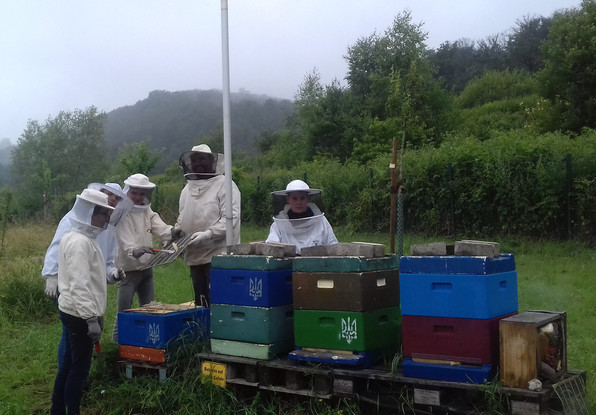 Mehr über den Artikel erfahren Bienen AG im Einsatz
